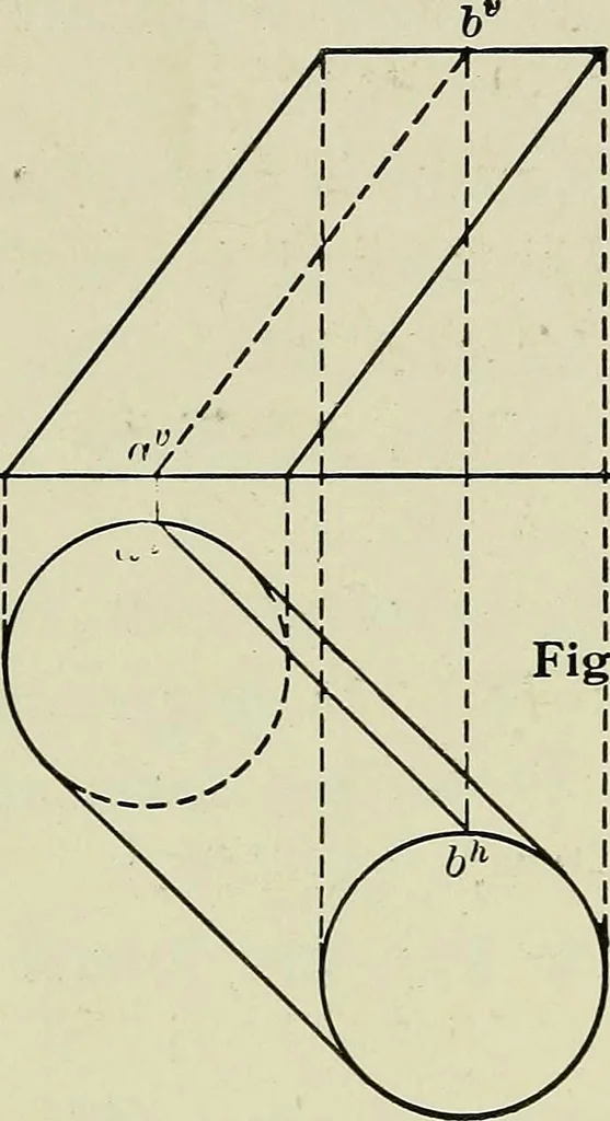 An illustration from Shades and shadows, 1921, leaf 39