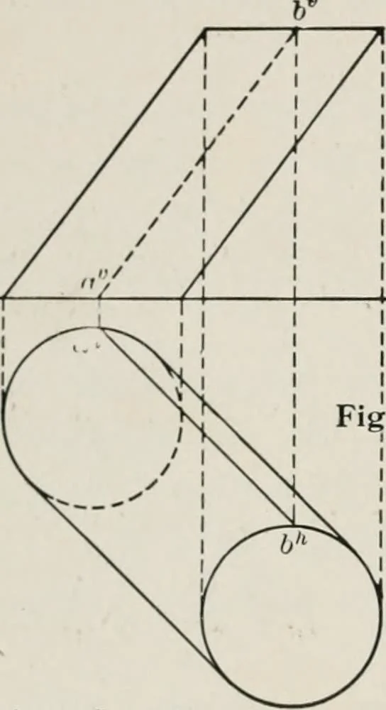 An illustration from Shades and shadows, 1921, leaf 41
