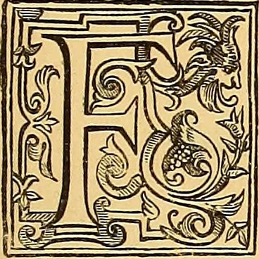 An illustration from Shakespeare as put forth in 1623. A reprint of Mr. William Shakespeares Comedies, Histories, & Tragedies. Published according to the True Original Copies, 1623, leaf 14