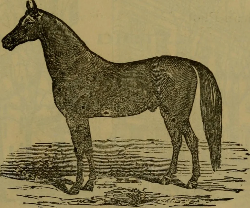 An illustration from Shanahan's guide to Washington and its environs, together with concise historical sketches of many things and places of interest to the visitor to the nation's capital, 1894, leaf 166