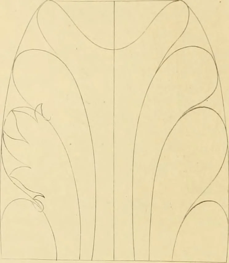 An illustration from Shaw's Civil architecture; being a complete theoretical and practical system of building, containing the fundamental principles of the art, 1852, leaf 259