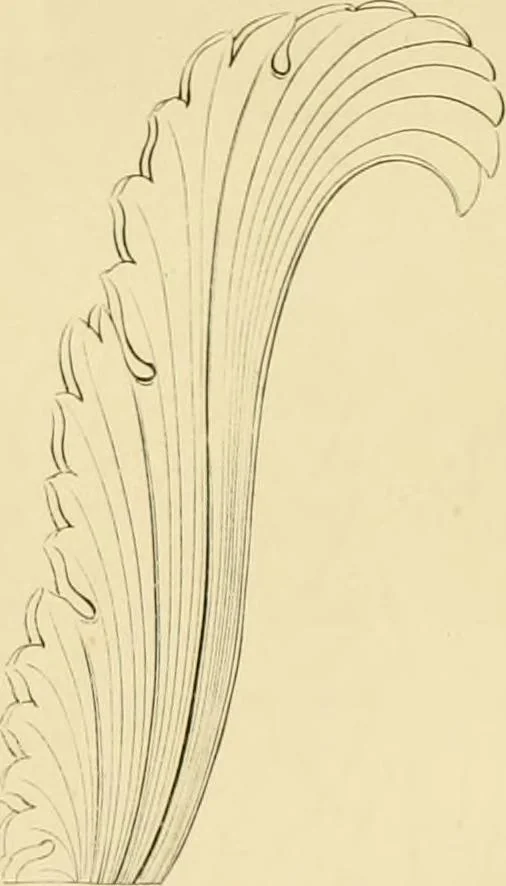 An illustration from Shaw's Civil architecture; being a complete theoretical and practical system of building, containing the fundamental principles of the art, 1852, leaf 260