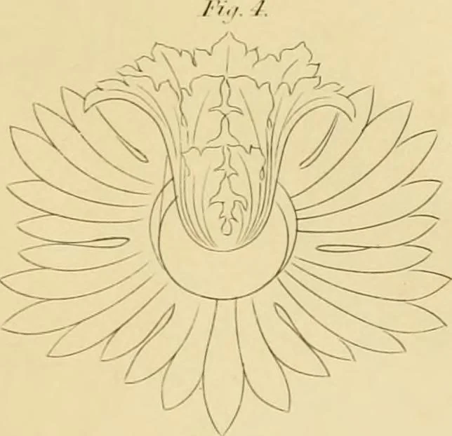An illustration from Shaw's Civil architecture; being a complete theoretical and practical system of building, containing the fundamental principles of the art, 1852, leaf 264
