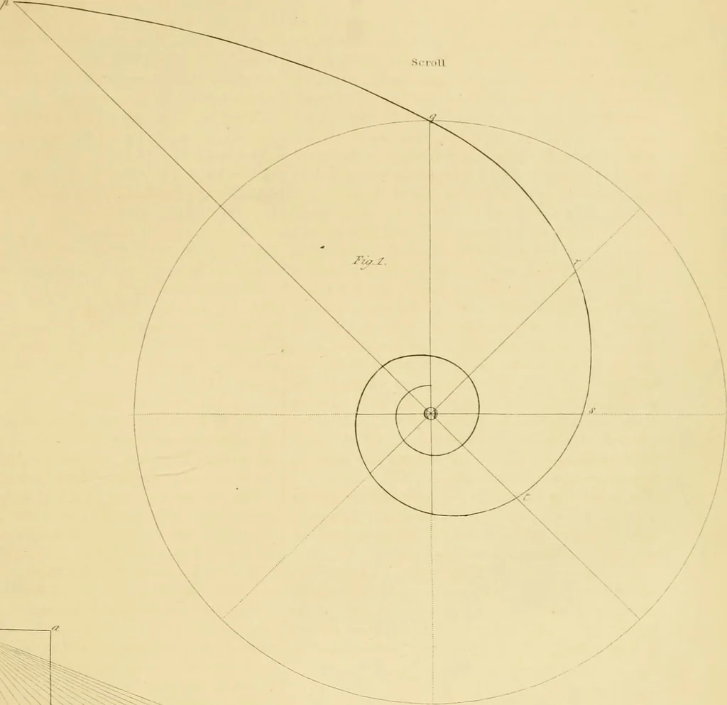 An illustration from Shaw's Civil architecture; being a complete theoretical and practical system of building, containing the fundamental principles of the art, 1852, leaf 306