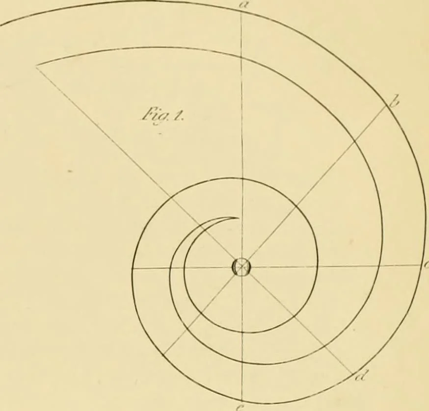 An illustration from Shaw's Civil architecture; being a complete theoretical and practical system of building, containing the fundamental principles of the art, 1852, leaf 308
