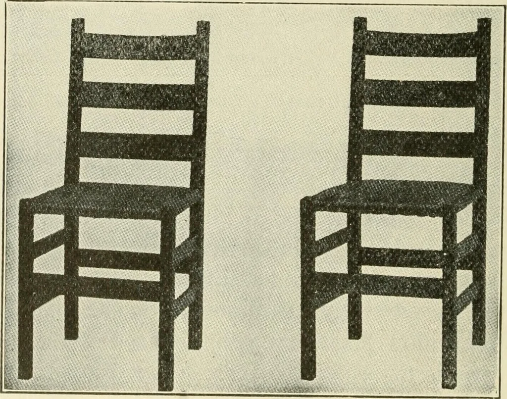 An illustration from Shelter and clothing; a textbook of the household arts, 1920, leaf 101
