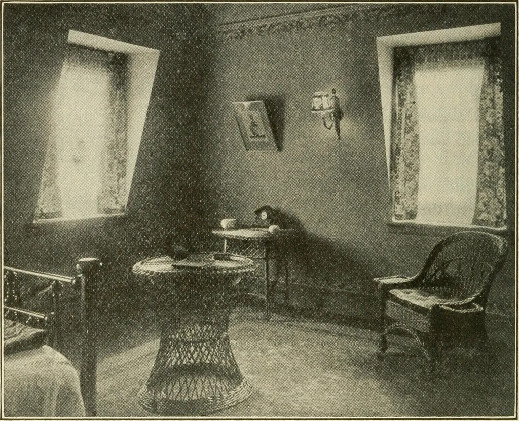 An illustration from Shelter and clothing; a textbook of the household arts, 1920, leaf 105