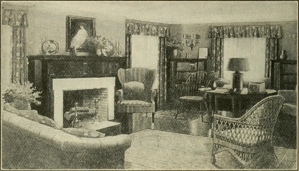 An illustration from Shelter and clothing; a textbook of the household arts, 1920, leaf 113