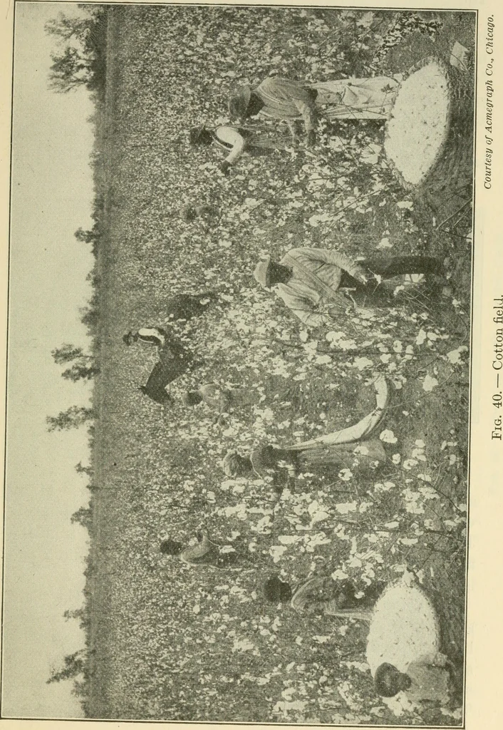 An illustration from Shelter and clothing; a textbook of the household arts, 1920, leaf 120