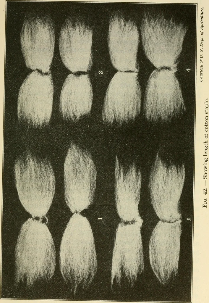 An illustration from Shelter and clothing; a textbook of the household arts, 1920, leaf 122