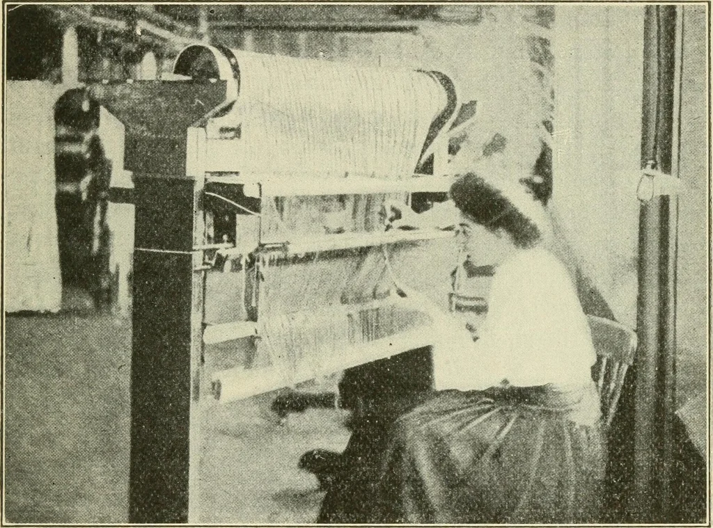 An illustration from Shelter and clothing; a textbook of the household arts, 1920, leaf 138