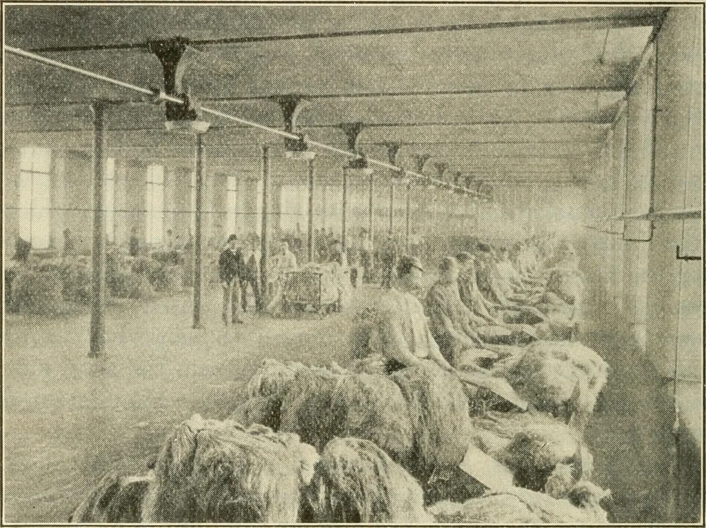 An illustration from Shelter and clothing; a textbook of the household arts, 1920, leaf 155