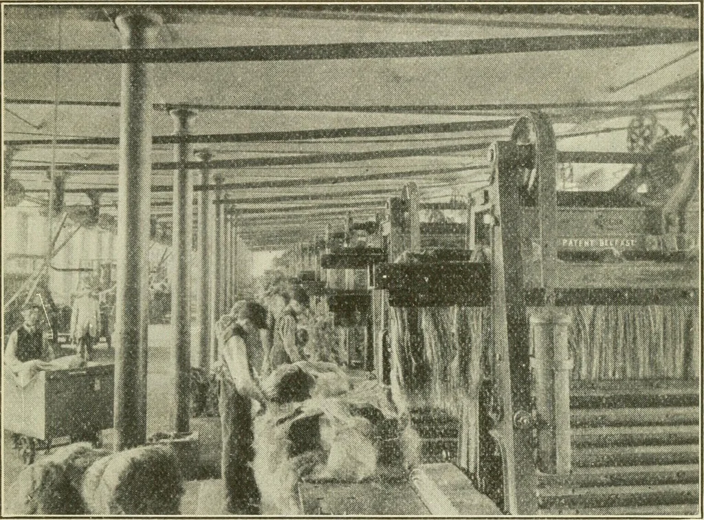An illustration from Shelter and clothing; a textbook of the household arts, 1920, leaf 156