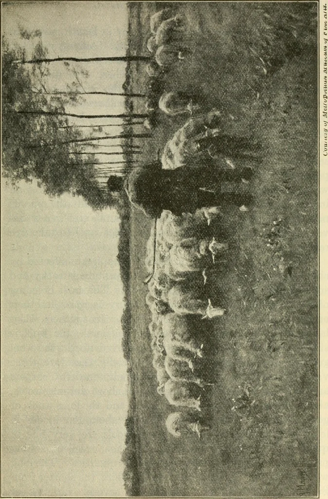 An illustration from Shelter and clothing; a textbook of the household arts, 1920, leaf 170