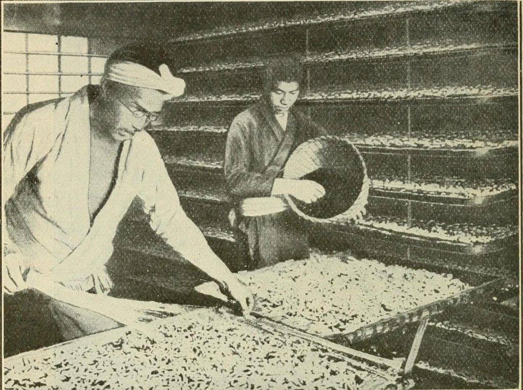 An illustration from Shelter and clothing; a textbook of the household arts, 1920, leaf 195