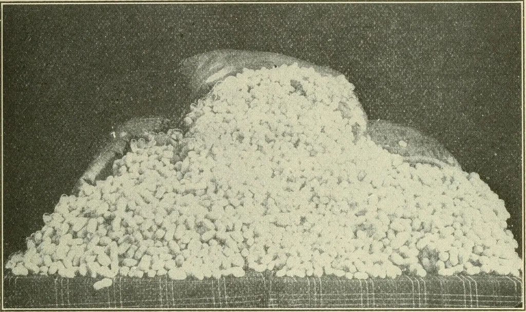 An illustration from Shelter and clothing; a textbook of the household arts, 1920, leaf 196
