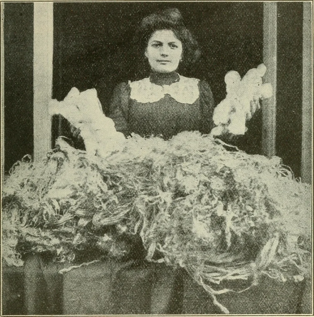 An illustration from Shelter and clothing; a textbook of the household arts, 1920, leaf 198