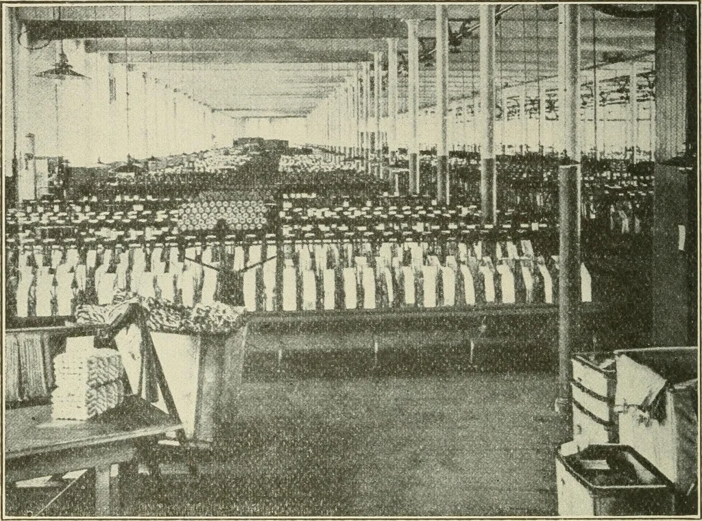 An illustration from Shelter and clothing; a textbook of the household arts, 1920, leaf 199
