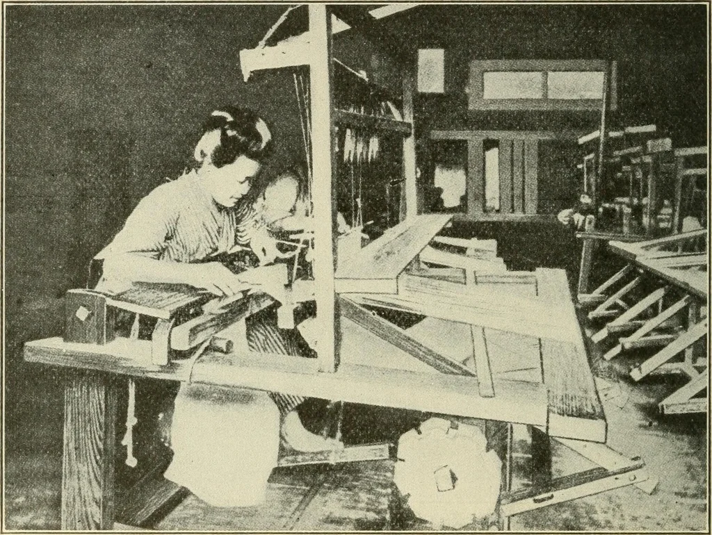An illustration from Shelter and clothing; a textbook of the household arts, 1920, leaf 201