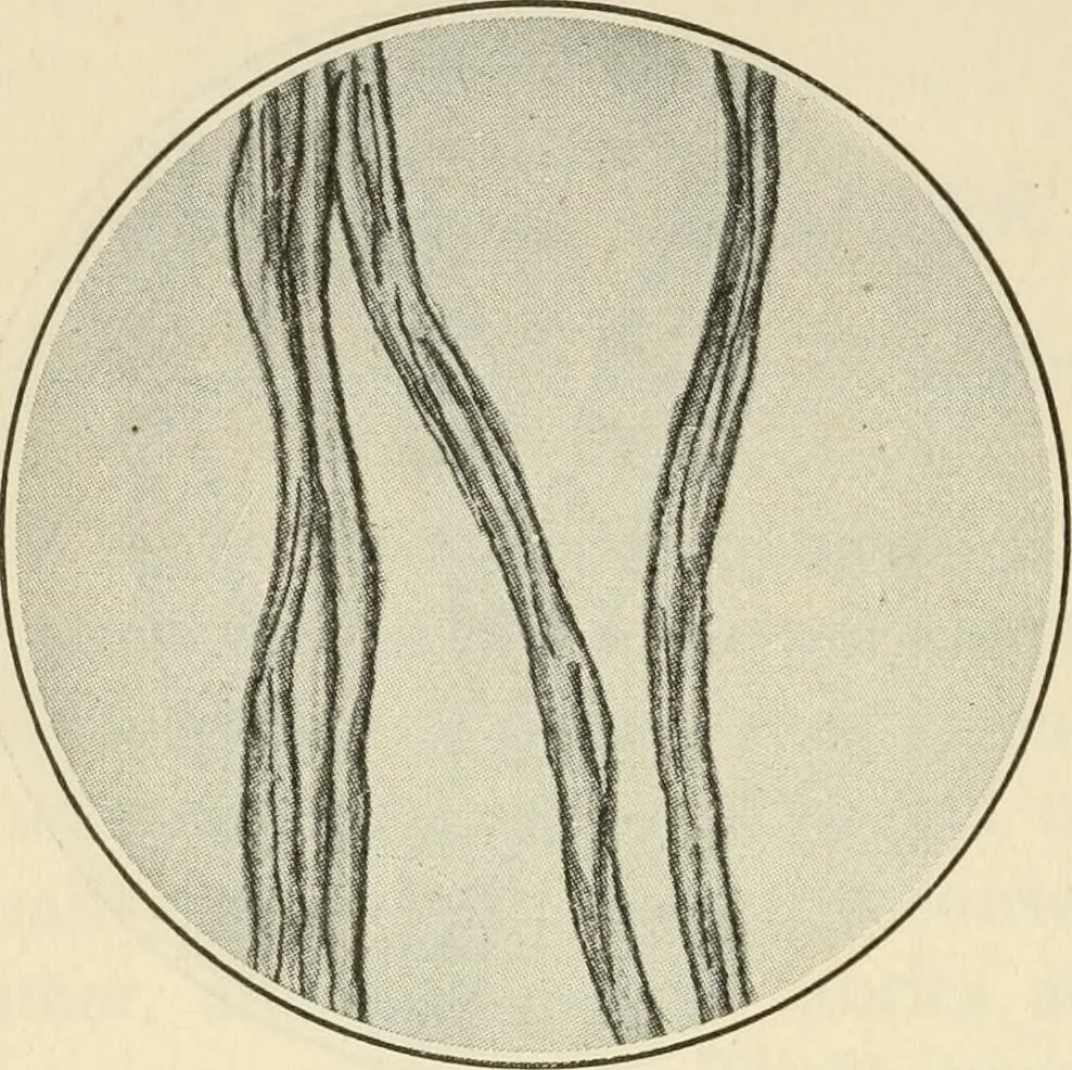 An illustration from Shelter and clothing; a textbook of the household arts, 1920, leaf 211