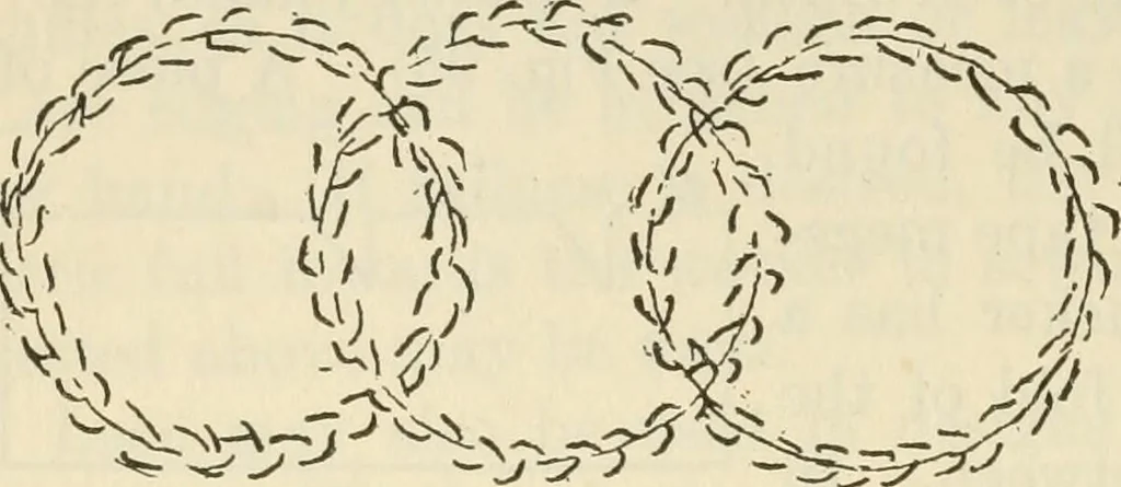An illustration from Shelter and clothing; a textbook of the household arts, 1920, leaf 235