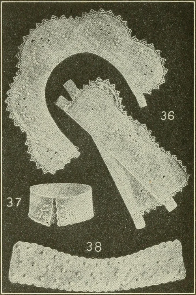 An illustration from Shelter and clothing; a textbook of the household arts, 1920, leaf 268