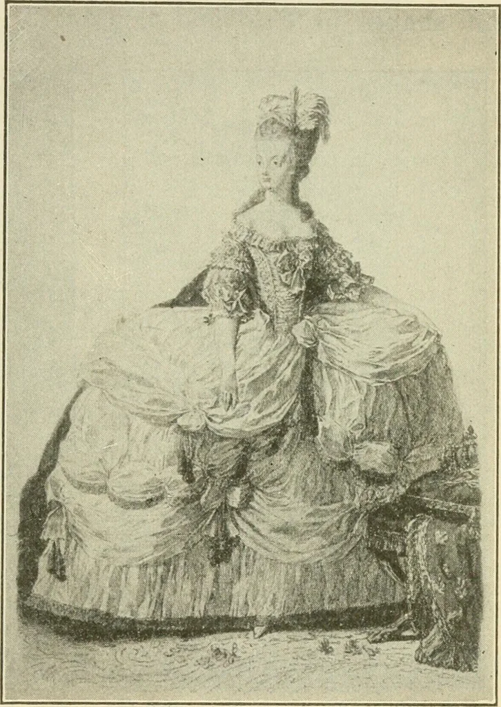 An illustration from Shelter and clothing; a textbook of the household arts, 1920, leaf 304