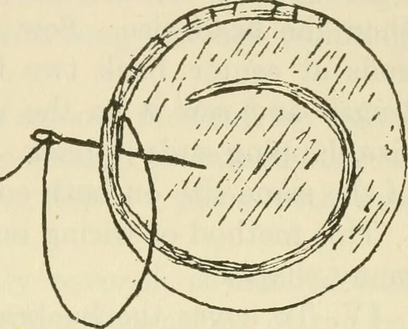 An illustration from Shelter and clothing; a textbook of the household arts, 1920, leaf 374