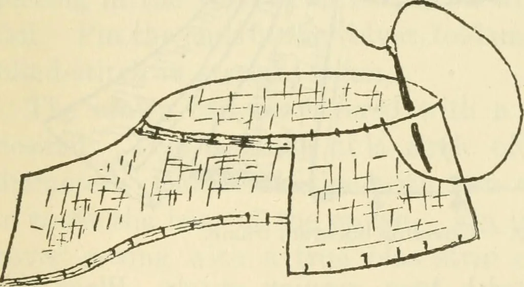 An illustration from Shelter and clothing; a textbook of the household arts, 1920, leaf 374
