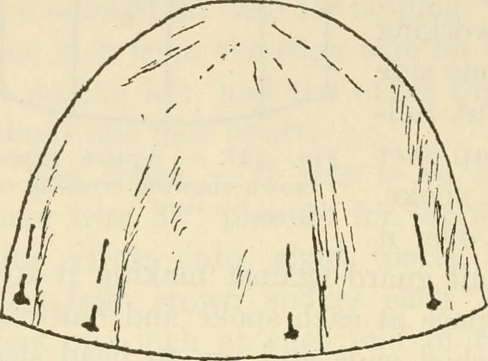 An illustration from Shelter and clothing; a textbook of the household arts, 1920, leaf 383