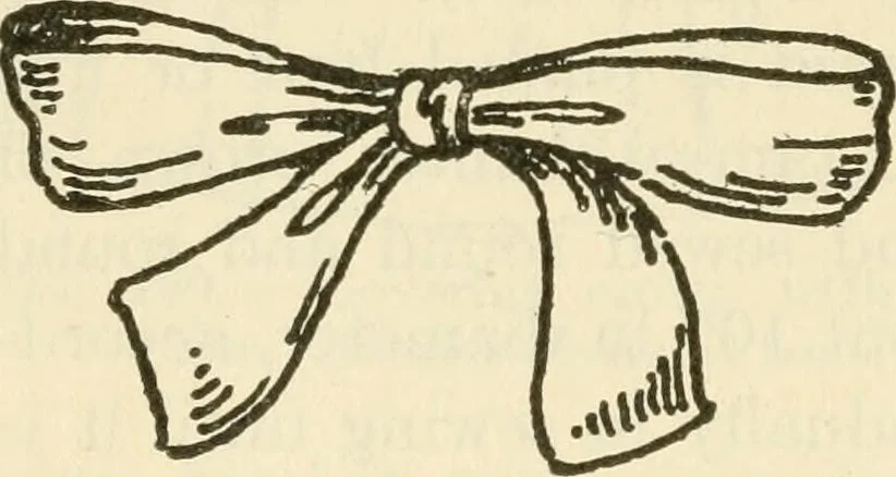 An illustration from Shelter and clothing; a textbook of the household arts, 1920, leaf 385