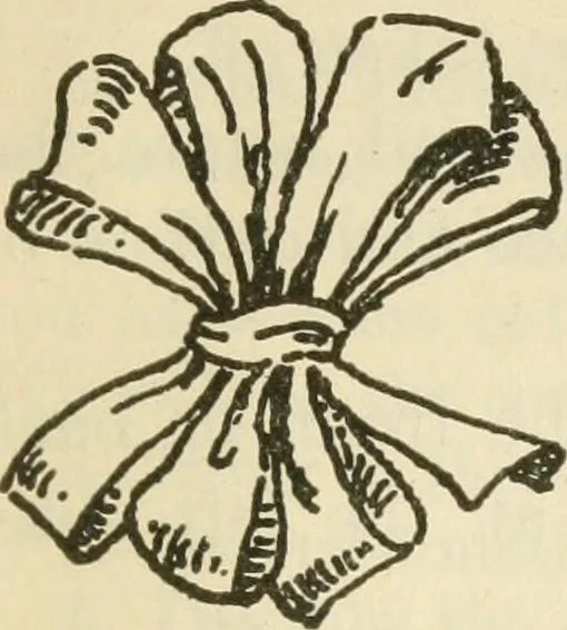 An illustration from Shelter and clothing; a textbook of the household arts, 1920, leaf 386