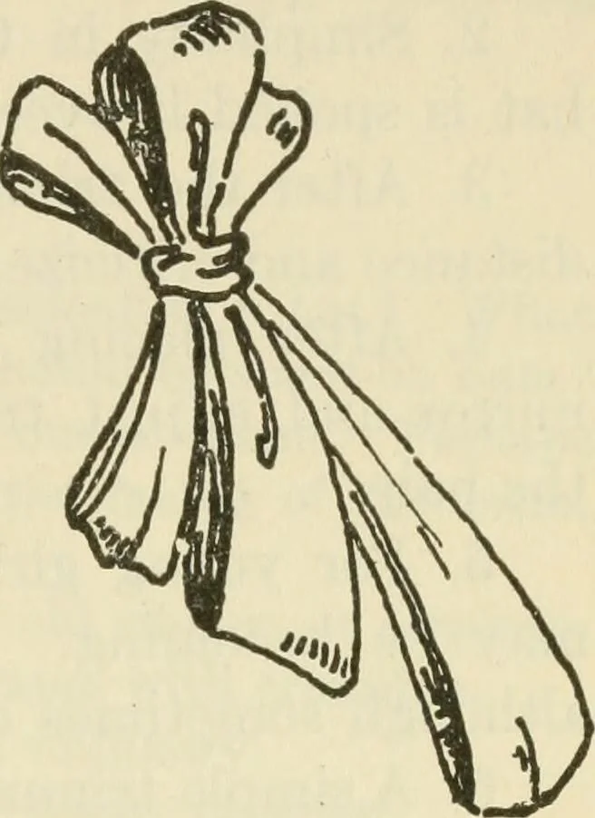 An illustration from Shelter and clothing; a textbook of the household arts, 1920, leaf 386
