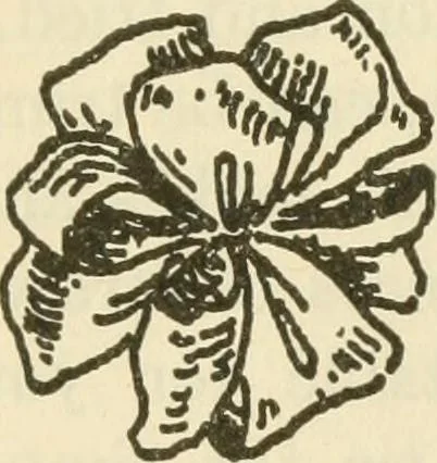 An illustration from Shelter and clothing; a textbook of the household arts, 1920, leaf 386