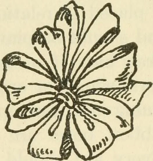 An illustration from Shelter and clothing; a textbook of the household arts, 1920, leaf 386