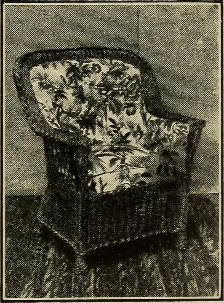 An illustration from Shelter and clothing; a textbook of the household arts, 1916, leaf 102