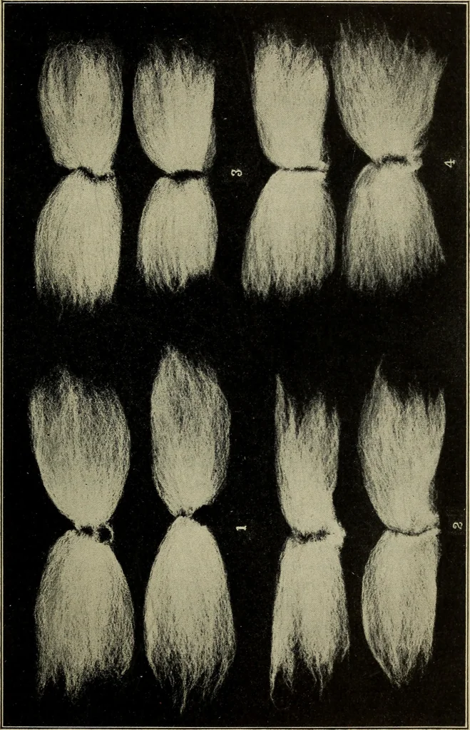 An illustration from Shelter and clothing; a textbook of the household arts, 1916, leaf 122