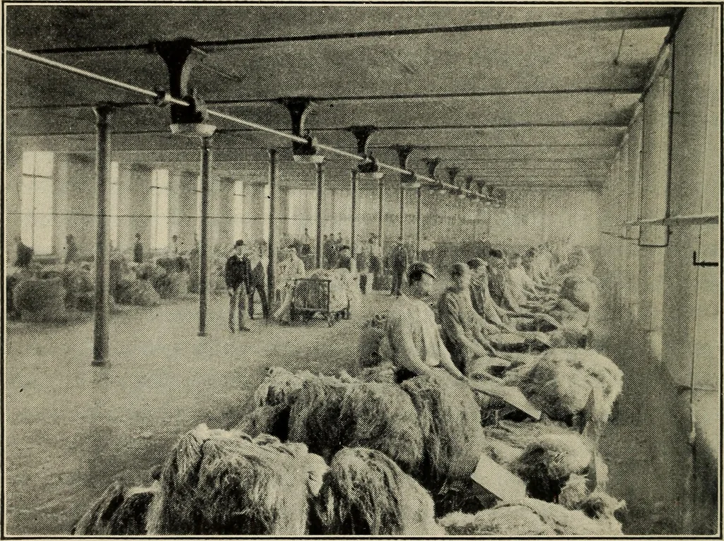 An illustration from Shelter and clothing; a textbook of the household arts, 1916, leaf 137