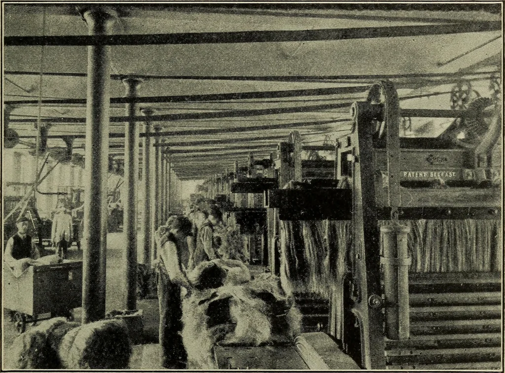 An illustration from Shelter and clothing; a textbook of the household arts, 1916, leaf 138