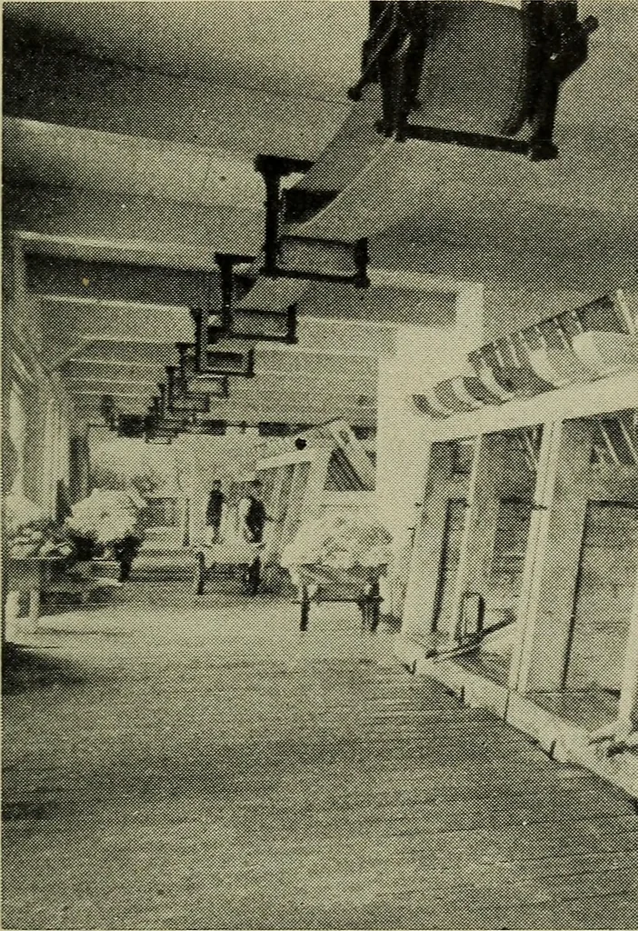 An illustration from Shelter and clothing; a textbook of the household arts, 1916, leaf 146