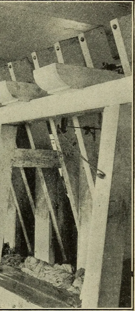 An illustration from Shelter and clothing; a textbook of the household arts, 1916, leaf 146