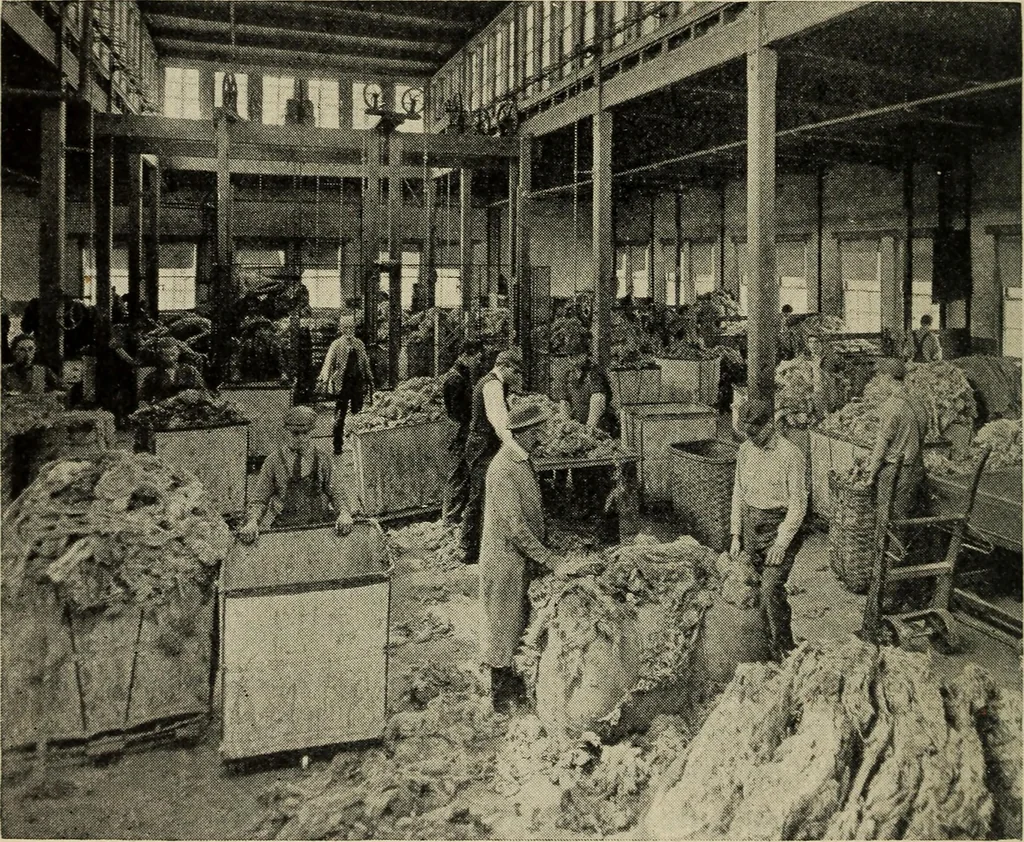 An illustration from Shelter and clothing; a textbook of the household arts, 1916, leaf 155