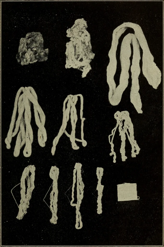 An illustration from Shelter and clothing; a textbook of the household arts, 1916, leaf 160