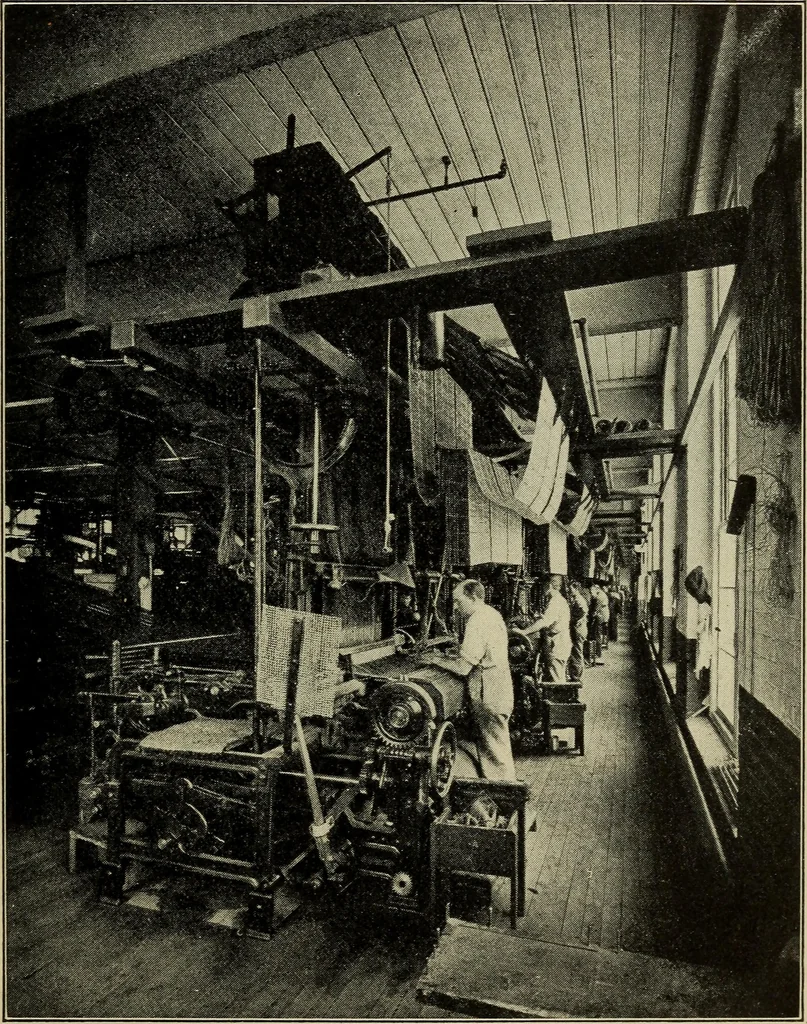 An illustration from Shelter and clothing; a textbook of the household arts, 1916, leaf 164