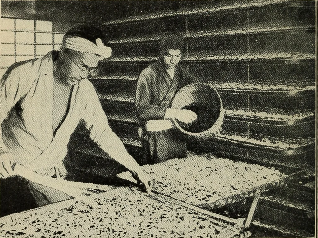 An illustration from Shelter and clothing; a textbook of the household arts, 1916, leaf 177
