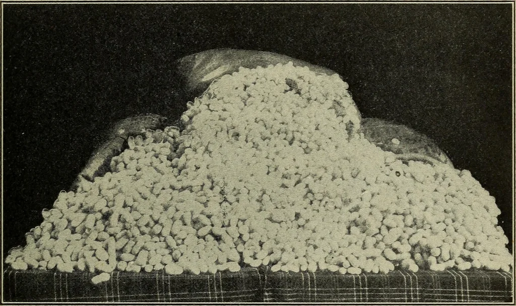 An illustration from Shelter and clothing; a textbook of the household arts, 1916, leaf 178