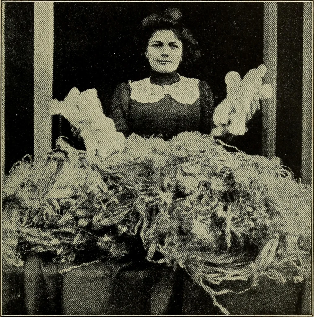 An illustration from Shelter and clothing; a textbook of the household arts, 1916, leaf 180