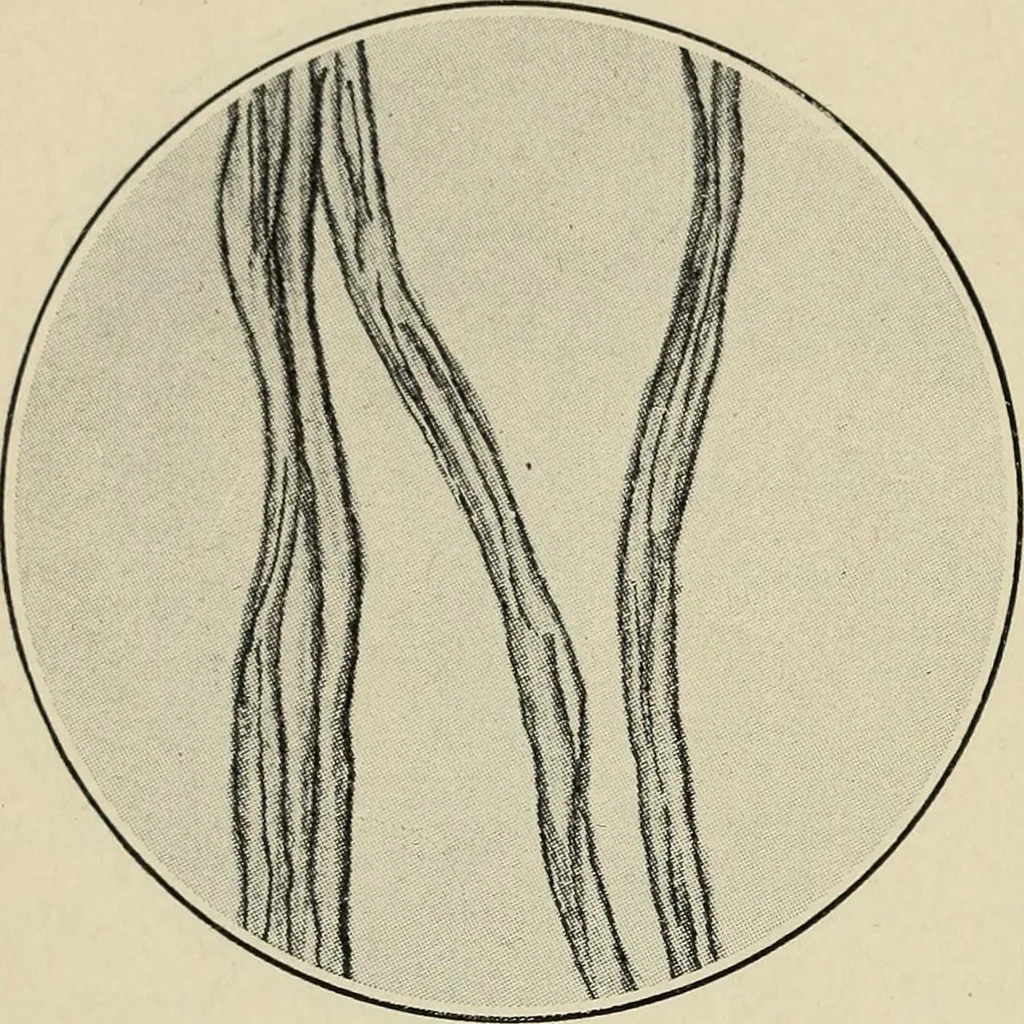 An illustration from Shelter and clothing; a textbook of the household arts, 1916, leaf 193