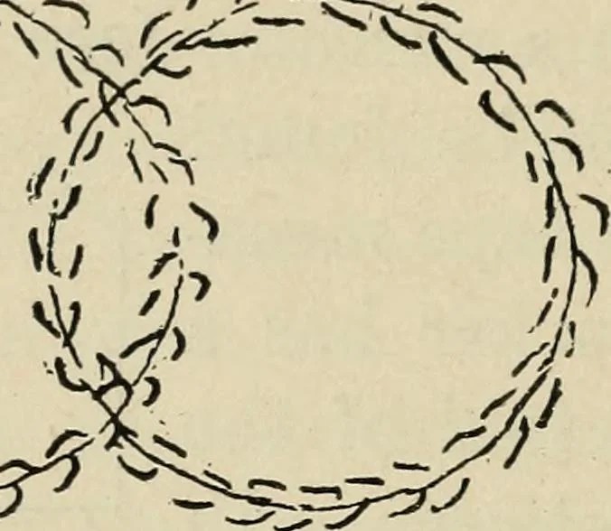 An illustration from Shelter and clothing; a textbook of the household arts, 1916, leaf 217