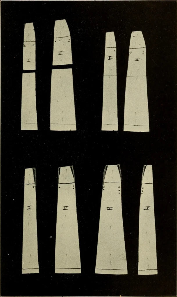 An illustration from Shelter and clothing; a textbook of the household arts, 1916, leaf 224